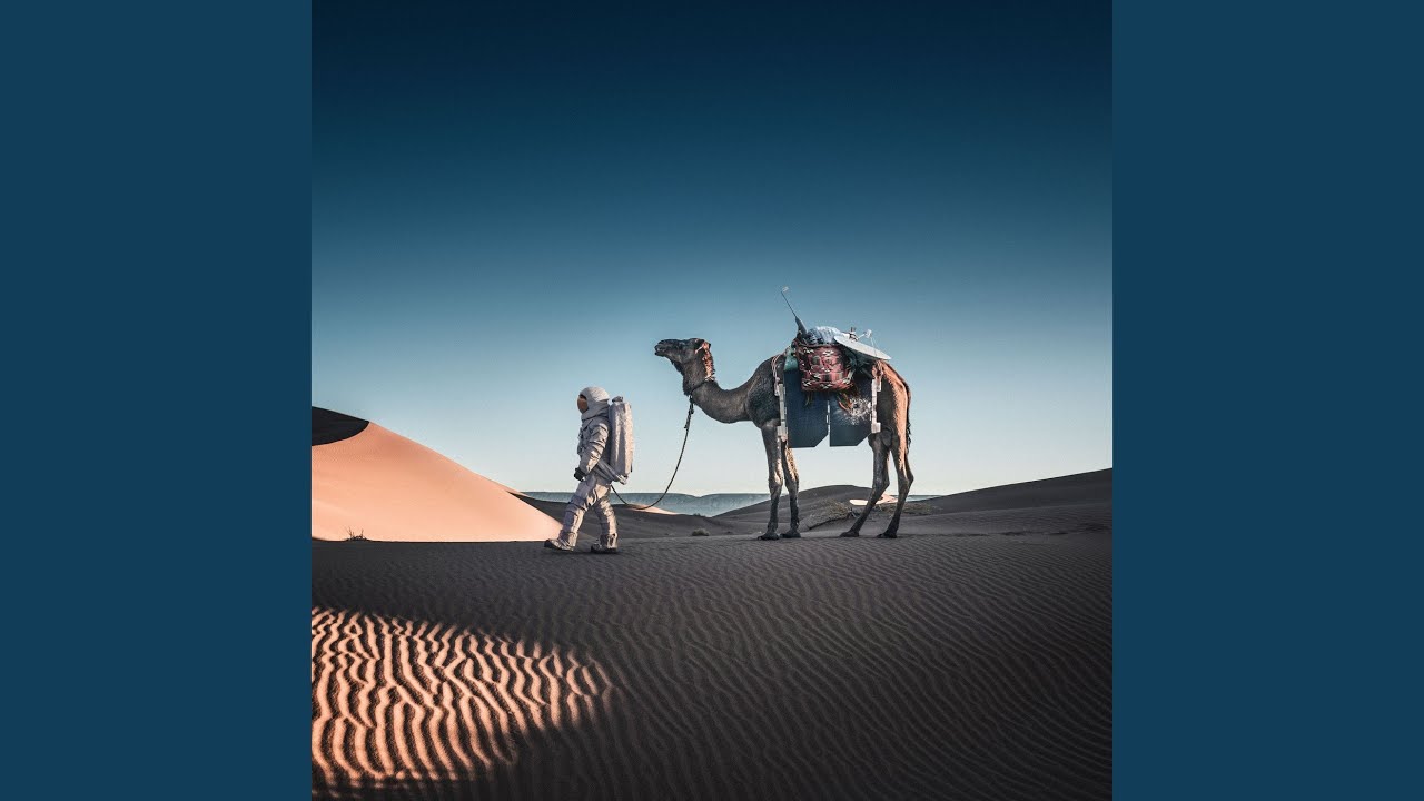 Guarda Dash su YouTube Guarda Dash su YouTube