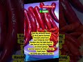 🔥👇 Cobain resep ini di rumah dan tag aku kalau udah recook ya!#tahubalado #resepsimpel #idebekal