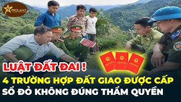 4 trường hợp đất giao không đúng thẩm quyền được cấp sổ đỏ từ 1/8 | PROLAND