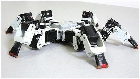 Special gait helps this six-legged robot outpace insects