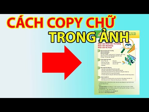 Cách Copy Chữ Trong Ảnh | Cách Để Sao Chép Chữ Trên Ảnh