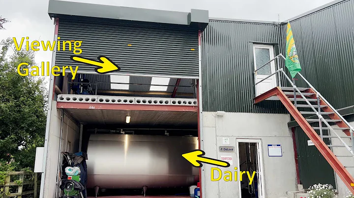 Viewing Gallery & Dairy Setup | Billy O'Connor - K...