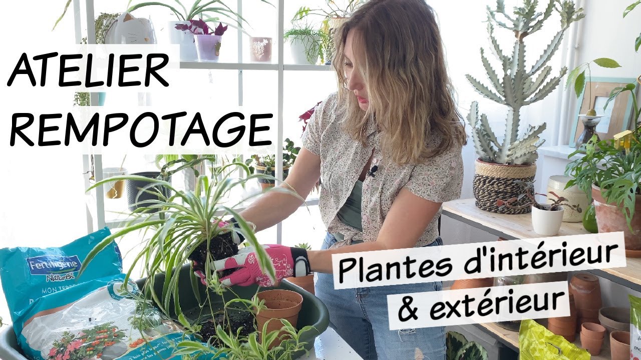 Atelier végétal : rempotage et soin des plantes d'intérieur