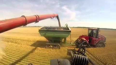 Stevens Farms Wheat harvest 2014