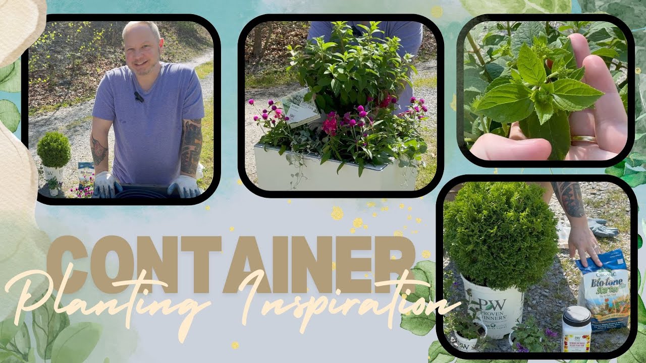 Planting Ideas for Containers! - YouTube