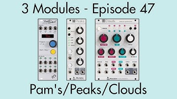 3 Modules #47: Pamela