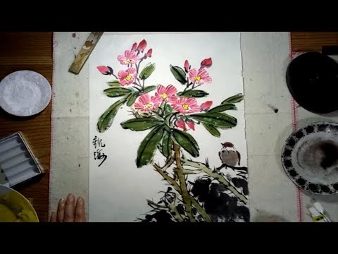 Video: Rhododendronin kylmävauriot – Opi rododendronien hoidosta talvella