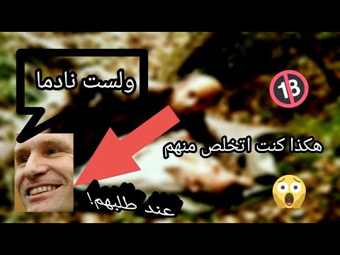 جريمة حيرت المحكمة بين من هو المذنب و الضحية وهكذا تم الحكم