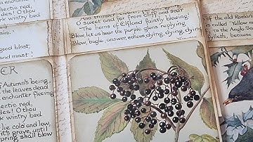 Edith Holden Stacked Envelope Junk Journal Using a File Folder - Part 2