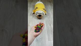 Dog 🐕 Marbles 🔴 Video Reverse #reversevideo #asmr #marblerunandmore #satisfying