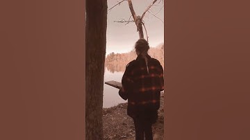 Taylor Swift - coney island (feat. The National) / Spotify Canvas