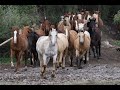 All aboard for a full episode shot of todays wild west  shot in colorado