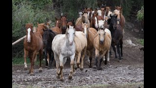 All aboard for a full episode shot of Today's Wild West  shot in Colorado