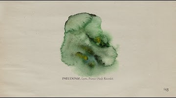 The Memoir - Page 148: PSEUDO500