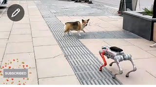 Remote control dog 🐶🐕 #drone #remote Unitree Embodied AI Model Manufactures Robots in Factory🤩