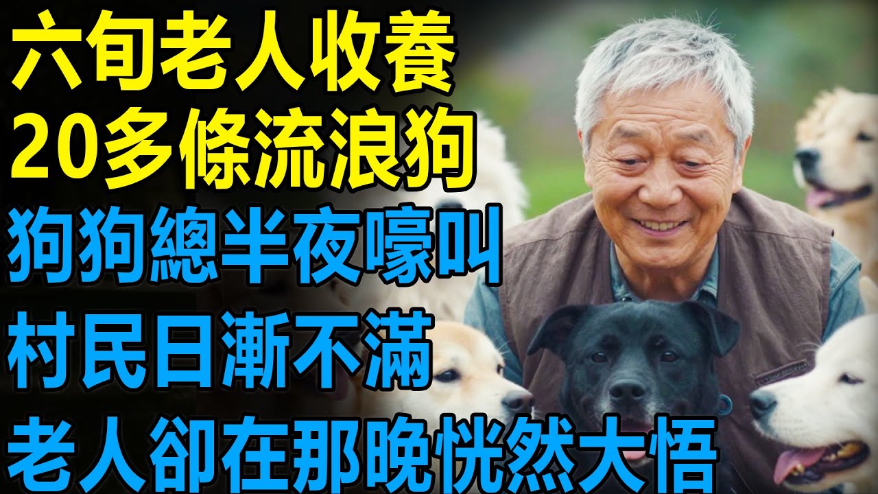 六旬老人8年内收養20多條流浪狗，可狗狗總半夜嚎叫，村裏人日漸不滿，老人卻在那晚恍然大悟...