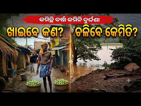 କମିଛି ବର୍ଷା କମିନି ଦୁର୍ଦ୍ଦଶା, ବଣିଆ ଗାଁର ଚାଷୀଙ୍କ ମୁଣ୍ଡରେ ଚଡ଼କ | Knews Odisha