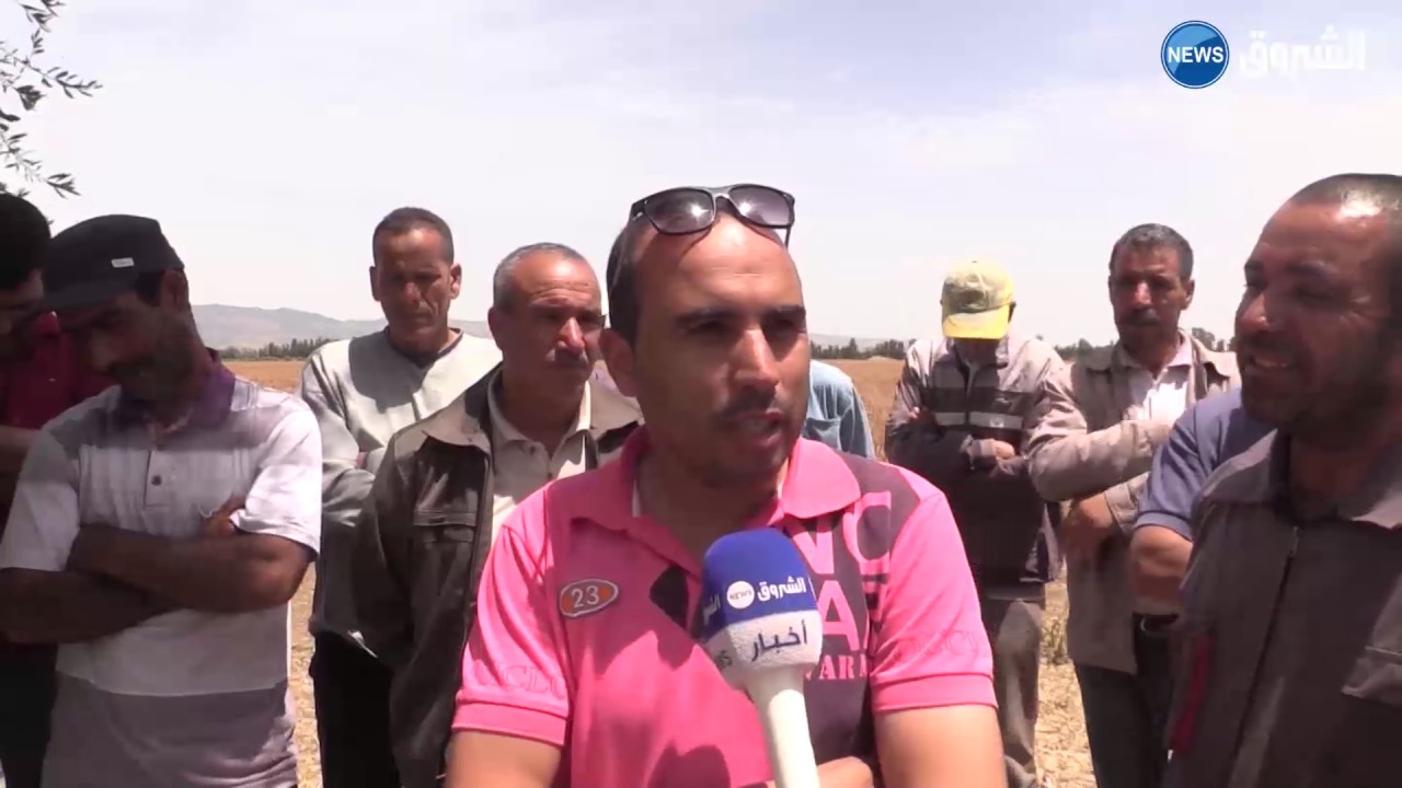 عين الدفلى: عمال مزرعة بسامي الجيلالي ببئرولد خليفة في إضراب مفتوح