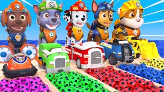 PAW Patrol Guess The Right Door ESCAPE ROOM CHALLENGE ESCAPE ROOM CHALLENGE Animals Cage Game