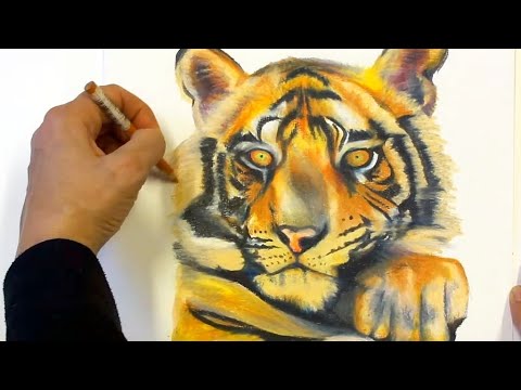 Speed Drawing Zeichnung Painting Tiger with Colored Pencils YouTube