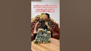 Huấn Hoa Hồng tuyên bố xanh rờn về Trấn Thành