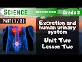 Science | Grade 5 | Unit 2 Lesson 2 - Part 1 - Excretion and human urinary system