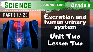 Science | Grade 5 | Unit 2 Lesson 2 - Part 1 - Excretion and human urinary system