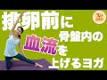 【妊活ヨガ】排卵前骨盤内の血流を上げるヨガ！