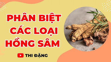 Phân Biệt Các Loại Hồng Sâm - Thi Đặng - ANaNa Nhân Sâm Korea