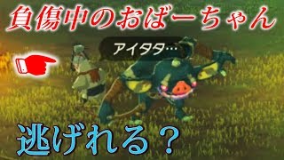 足負傷して動けないおばーちゃんに、魔物送り込んだら実は走るんじゃないか？etc【ゼルダの伝説ブレスオブザワイルド】検証　実況