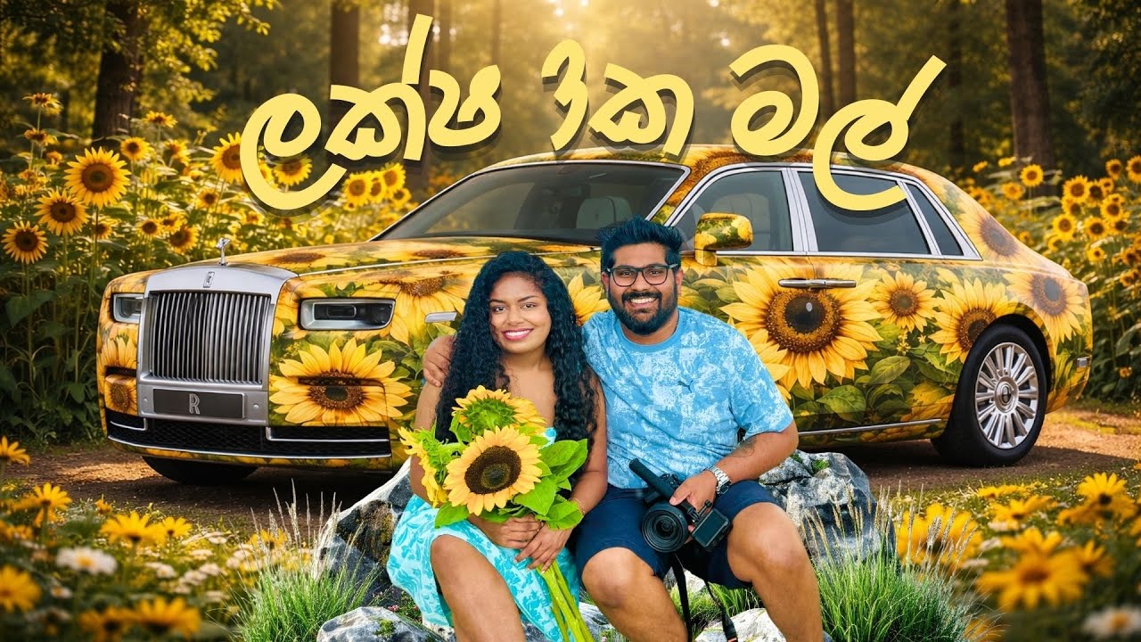 ලක්ෂ 3ක මල් තියෙන වත්තක් 😳🌻 | Taupiri Sunflower Farm | මේක නම් පිස්සුවක් | New Zealand | Mev & Pasi