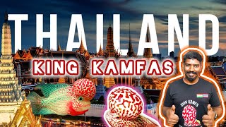 King kamfa store in Bengaluru | king Kamfa | Thailand imported fishes | Bengaluru flowerhorn |