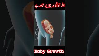 Fetal development 0-40weaks|baby Growth #viral#ytshorts#health