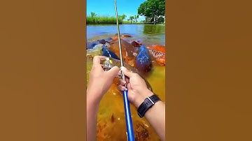 Cần câu bút mini 2,1 mét, rút gọn 20cm, câu cá lóc 3-5kg cảm giác #fishing #shorts