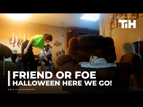 Friend or Foe: Halloween here we go!