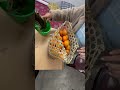 4 May 2025 Arunachalpradesh Yiutubeshort Youtubevideo Food Lifeisbutadream Fruit 4 May 2025 Arunachalpradesh Yiutubeshort Youtubevideo Food Lifeisbutadream Fruit
