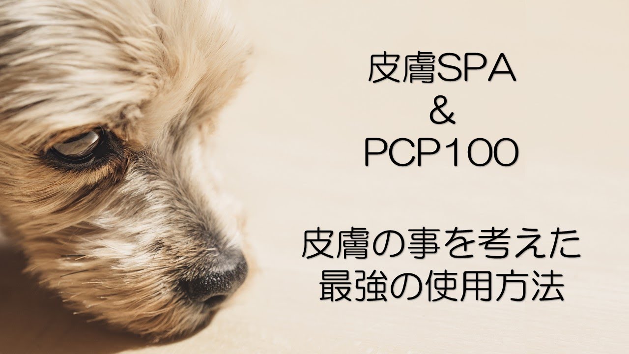 PCP 100 | コラーゲン高機能処理剤 - シセルリノオフィシャルショップ