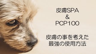 PCP 100 | コラーゲン高機能処理剤 - シセルリノオフィシャルショップ