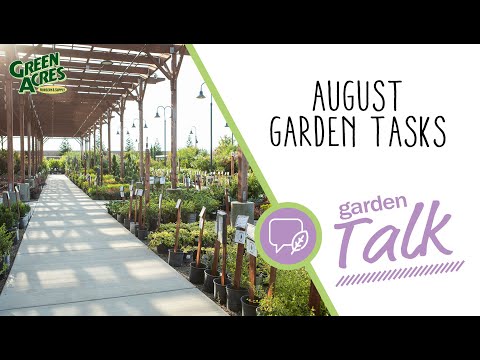 Vídeo: August Garden Tasks – O que fazer na região centro-sul