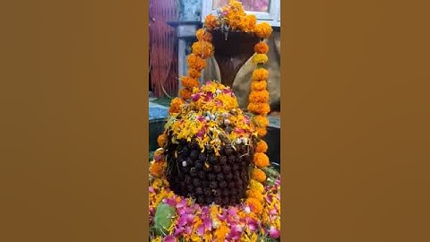 Rudra Abhishek #shiv #mahadev #mahakal #shiva #bholenath #status #trending #pradeepmishra #shorts