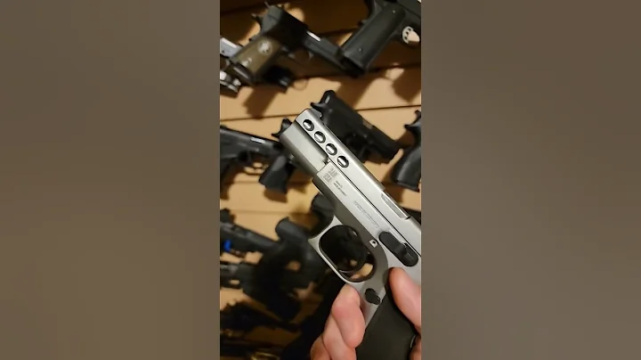 Wall of Guns: SAR USA P8L