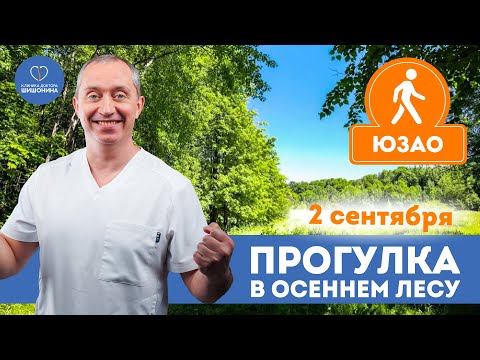 Видео: Маршрут 9 км, влияние природы на здоровье: прогулка с доктором Шишониным 2 сентября 