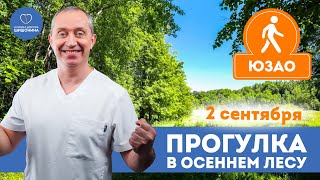 картинка: Маршрут 9 км, влияние природы на здоровье: прогулка с доктором Шишониным 2 сентября 🌳❤️