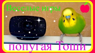 ВЕСЕЛЫЕ ИГРЫ ПОПУГАЯ ТОШИ//ВОЛНИСТЫЙ ПОПУГАЙ//ПРИКОЛЫ ВЕСЕЛЫЕ ИГРЫ ПОПУГАЯ ТОШИ//ВОЛНИСТЫЙ ПОПУГАЙ//ПРИКОЛЫ