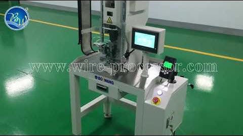 10 BW-2.5T+D Automatic pressure adjusting servo crimping machine