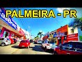 Palmeira  parana