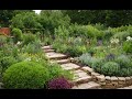 How to Grow a Medicinal Herb Garden