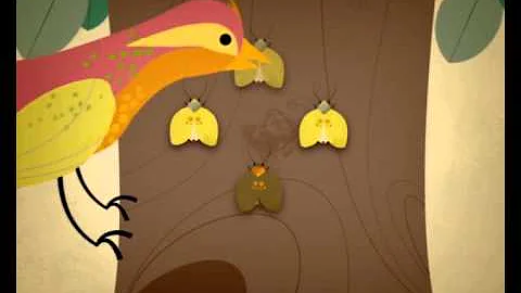 Como Darwin explica esse esquema?
