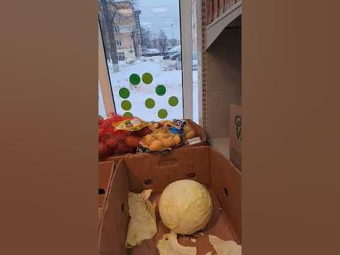 РЯД С ОВОЩАМИ В ПЯТЁРОЧКЕ! VEGETABLES IN THE PYATEROCHKA STORE! - YouTube