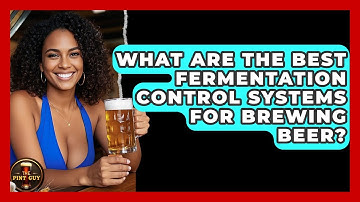What Are The Best Fermentation Control Systems For Brewing Beer? - The Pint Guy